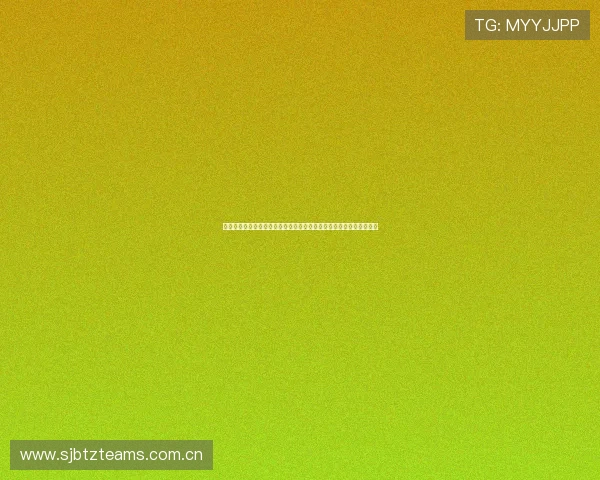 挪威与法国战术对比分析：球队阵型、战术策略及比赛中表现亮点详解